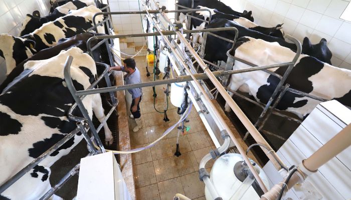 Paraná regulamenta lei que proíbe reconstituição de leite em pó importado